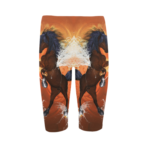 Wonderful horse with water wings Hestia Cropped Leggings (Model L03)