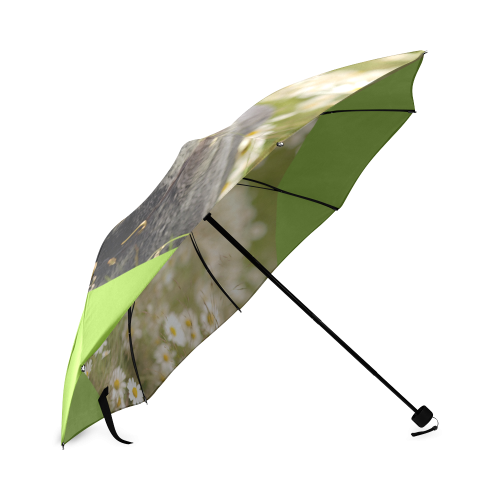 April Showers Bring May Flowers Foldable Umbrella (Model U01)
