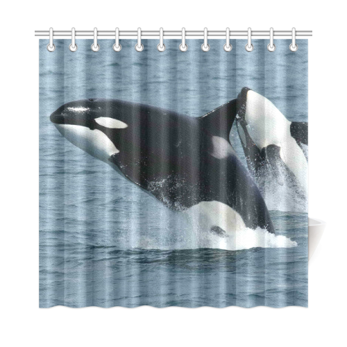 Whale20151001 Shower Curtain 72"x72"