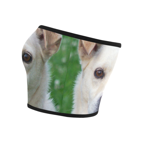 Dog face close-up Bandeau Top