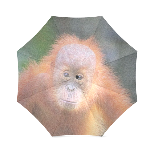 animal art studio 26516 orang baby