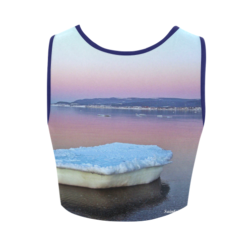 Ice Raft on the Sea Women's Crop Top (Model T42)