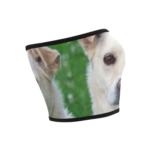 Dog face close-up Bandeau Top