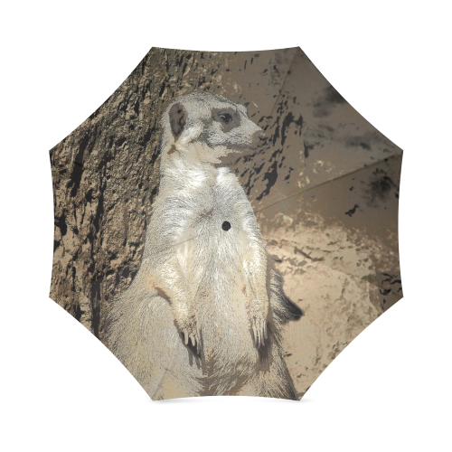 animal art studio 25516