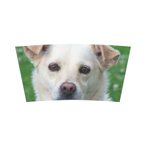 Dog face close-up Bandeau Top