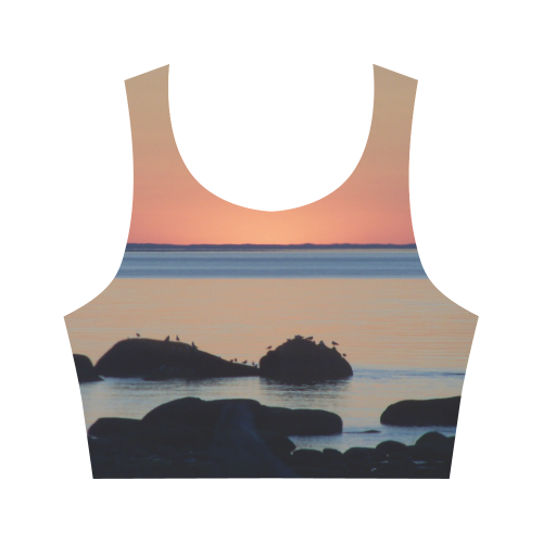 Dusk on the Sea Women's Crop Top (Model T42)