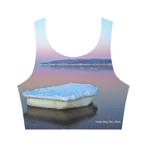 Ice Raft on the Sea Women's Crop Top (Model T42)