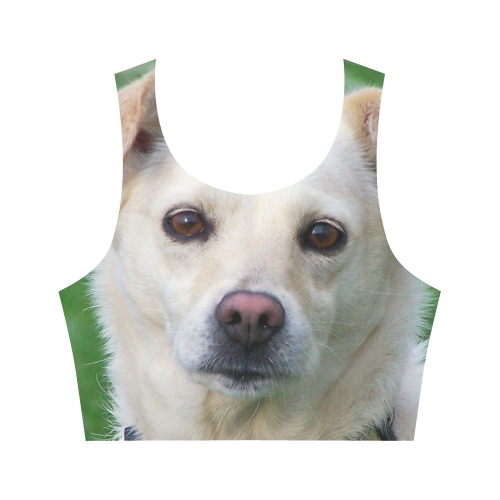 Dog face close-up Women's Crop Top (Model T42)