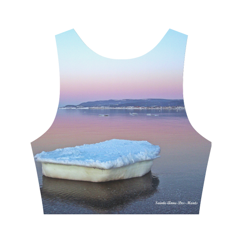 Ice Raft on the Sea Women's Crop Top (Model T42)