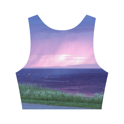 Purple Rain Women's Crop Top (Model T42)