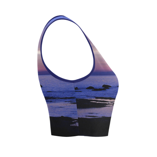 Blue and Purple Sunset Women's Crop Top (Model T42)