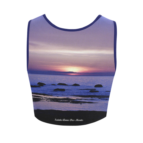 Blue and Purple Sunset Women's Crop Top (Model T42)