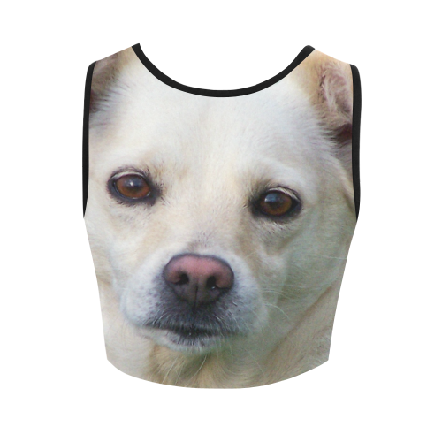 Dog face close-up Women's Crop Top (Model T42)