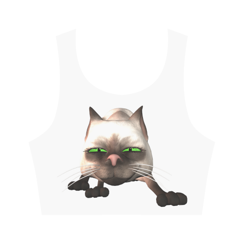 Funny cat Women's Crop Top (Model T42)