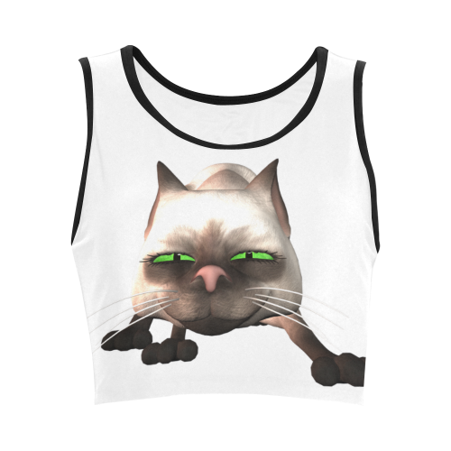 Funny cat Women's Crop Top (Model T42)