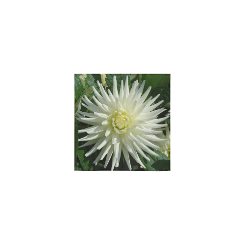 Dahlia_2015_0702 Square Towel 13“x13”