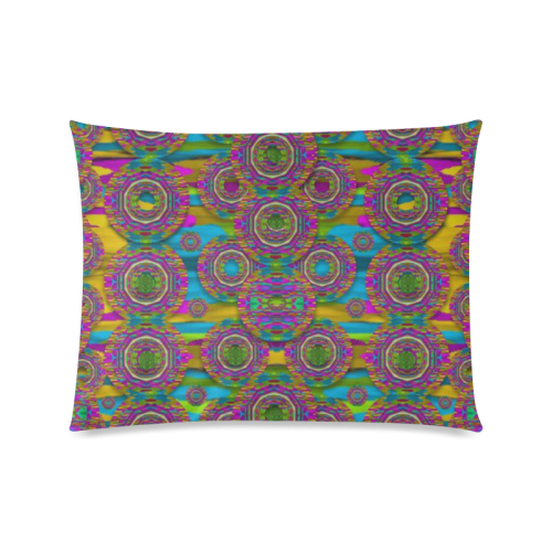 Peacock eyes in a contemplative style Custom Picture Pillow Case 20"x26" (one side)