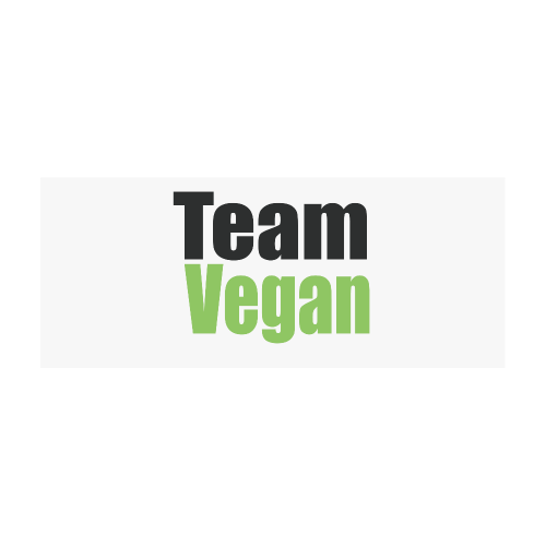 Team Vegan Stainless Steel Vacuum Mug (10.3OZ)