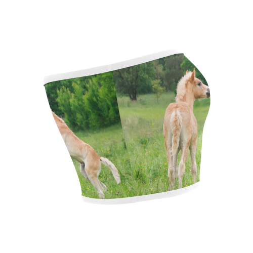 Haflinger Horses Cute Funny Pony Foals Playing Horse Rearing Bandeau Top