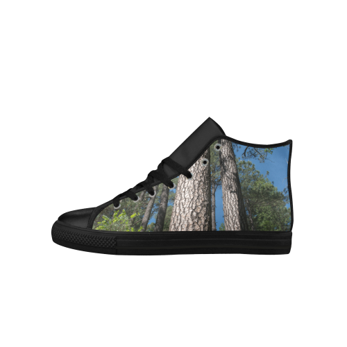 Tall Pine Trees Mt Lemmon Arizona