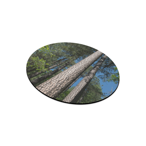 Tall Pine Trees Mt Lemmon Arizona Round Mousepad