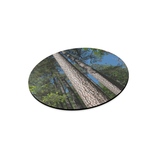 Tall Pine Trees Mt Lemmon Arizona Round Mousepad
