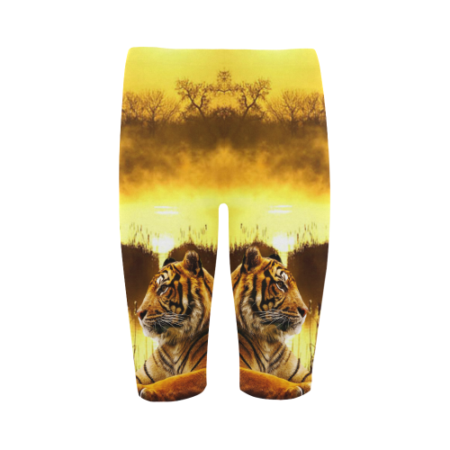 Tiger and Sunset Hestia Cropped Leggings (Model L03)