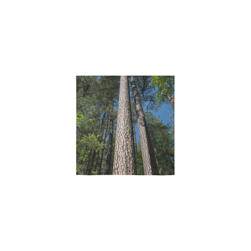 Tall Pine Trees Mt Lemmon Arizona Square Towel 13“x13”