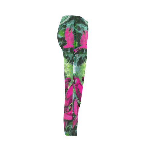 parrots Capri Legging (Model L02)