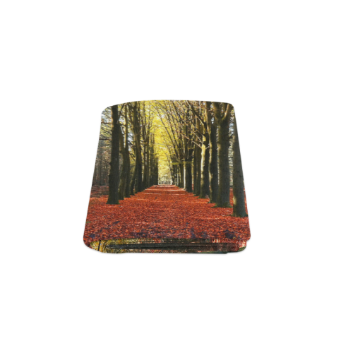 Autumn Forest Path Blanket 50"x60"