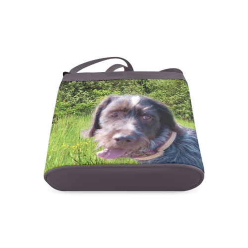 Dog Wirehaired Pointing Griffon Crossbody Bags (Model 1613)