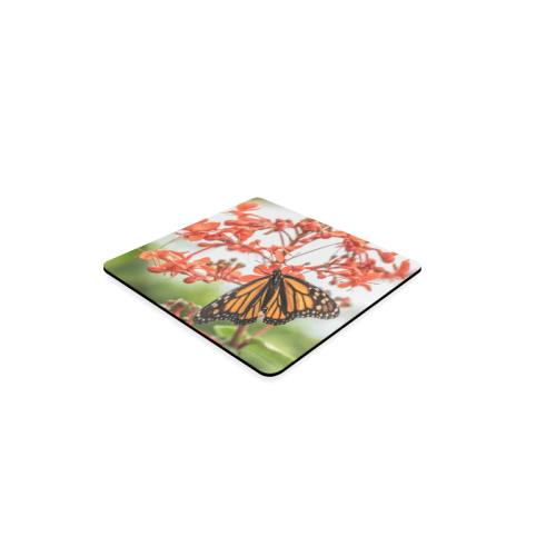 Monarch Butterfly Dreams Square Coaster