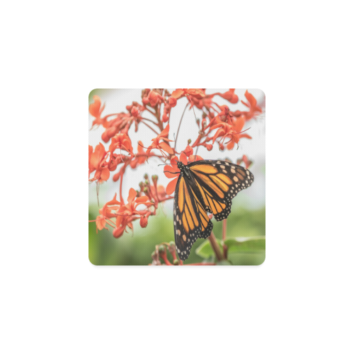 Monarch Butterfly Dreams Square Coaster