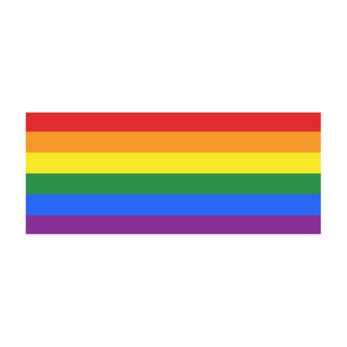 Gay Pride Rainbow Flag Stripes Stainless Steel Vacuum Mug (10.3OZ)