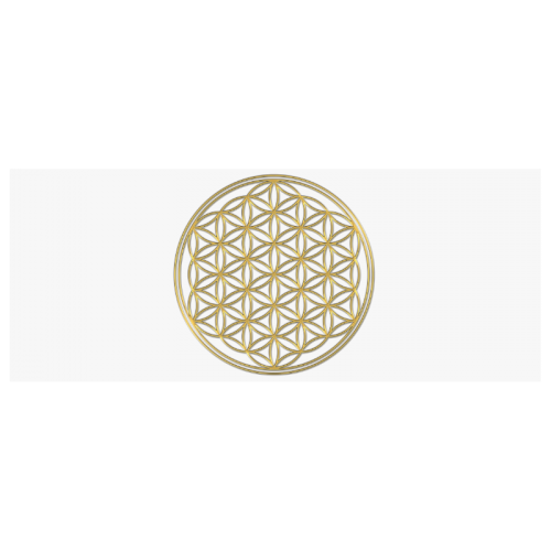 FLOWER OF LIFE gold Custom Morphing Mug