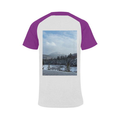 Winter Wonderland Men's Raglan T-shirt (USA Size) (Model T11)