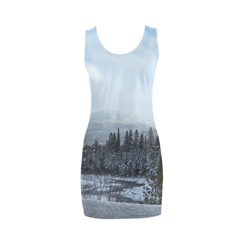 Winter Wonderland Medea Vest Dress (Model D06)