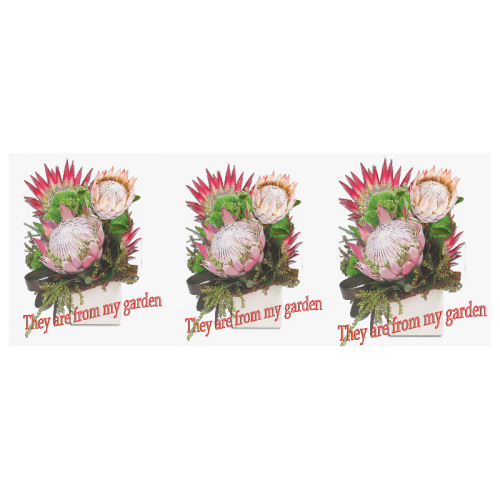 Protea's from my garden Custom Morphing Mug