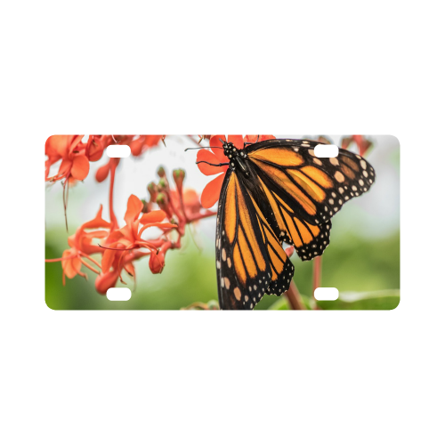 Monarch Butterfly Dreams Classic License Plate