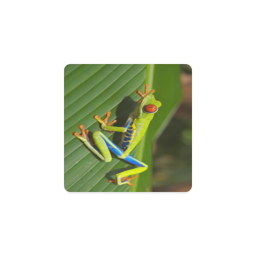 Tree Frog Climbing Leaf Square Coaster