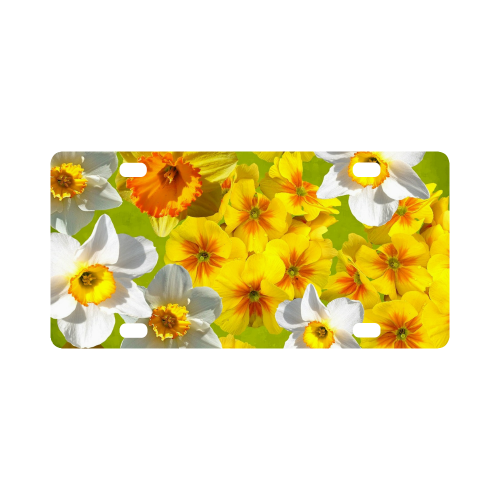 Daffodil Surprise Classic License Plate