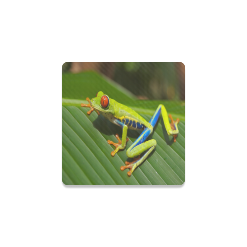 Tree Frog Climbing Leaf Square Coaster