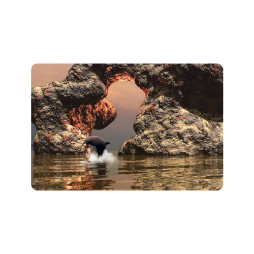 Dolphin in the sunset