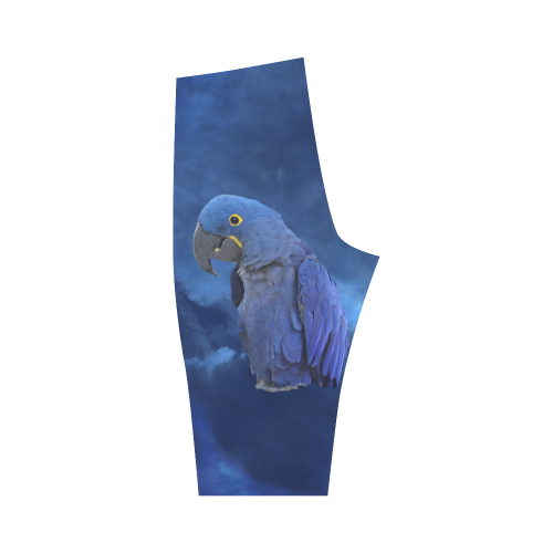 Hyacinth Macaw Hestia Cropped Leggings (Model L03)