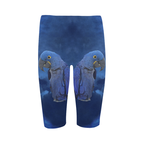 Hyacinth Macaw Hestia Cropped Leggings (Model L03)