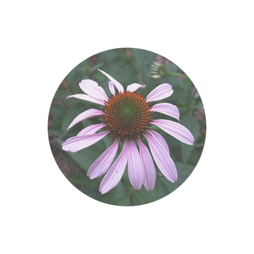 Echinaecia Round Mousepad