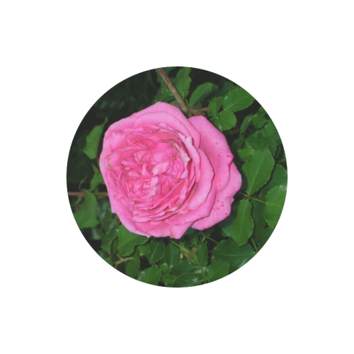 Pink Rose Round Mousepad