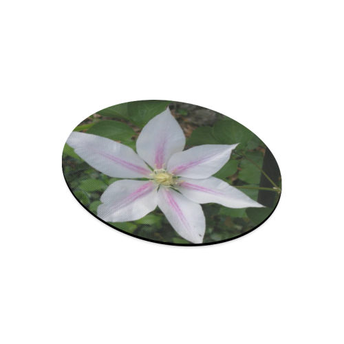 Nelly Moser Clematis Round Mousepad