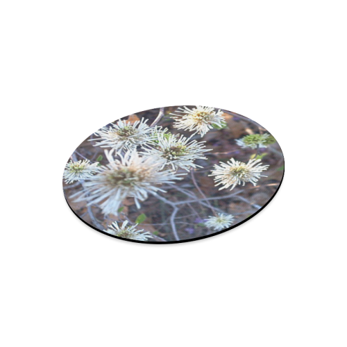 Fothergilla Round Mousepad