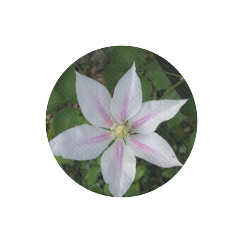 Nelly Moser Clematis Round Mousepad